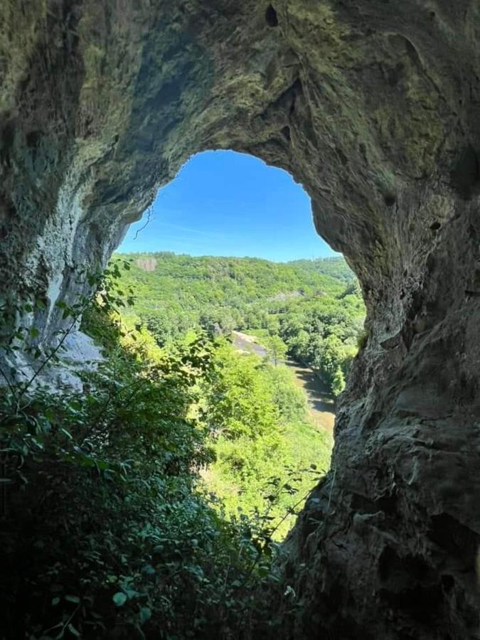 Vakantiestudio Ciney Appartamento *