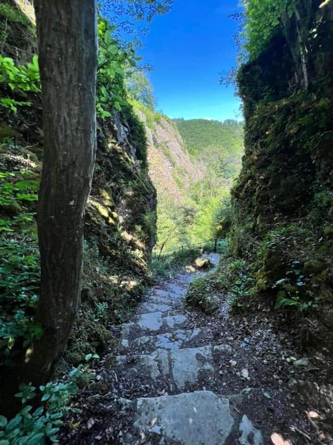Appartamento Vakantiestudio Ciney *